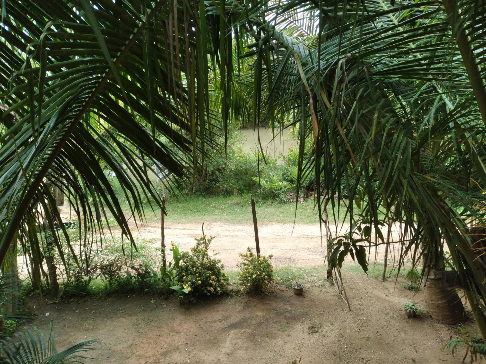 Star Sun Homestay Tangalle Ngoại thất bức ảnh
